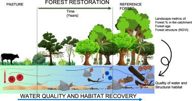 Forest restoration improves habitat and water quality in tropical streams: A multiscale landscape assessment