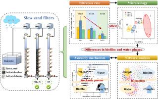 Slow sand filters with variable filtration rates for rainwater purification: Microecological differences between biofilm and water phases