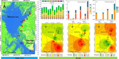 Multi-indicator assessment of heavy metal pollution in Qinzhou Harbour sediments: Unraveling ecological and human health risks