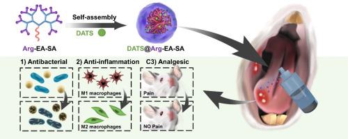 Synergistic effects of NO/H2S gases on antibacterial, anti-inflammatory, and analgesic properties in oral ulcers using a gas-releasing nanoplatform