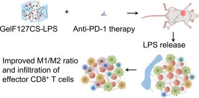Injectable hydrogel-assisted local lipopolysaccharide delivery improves immune checkpoint blockade therapy