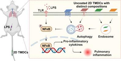 Autophagy-targeted therapy for pulmonary inflammation by 2D MX2 (M = W, Nb; X = S, Se) nanosheets
