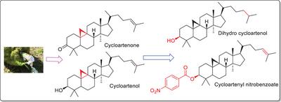 Cyclopropane Containing Triterpenoids, Cycloartenone, and Cycloartenol: Isolation, Chemical Transformations, and Anticancer Studies