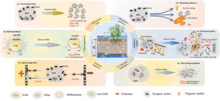 Mechanisms and mitigation control of clogging in constructed wetlands: Insight into the enhancement of the bioelectrochemical systems