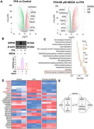 Alisol B 23-Acetate Down-Regulated GRP94 to Restore Endoplasmic Reticulum Homeostasis on Non-Alcoholic Steatohepatitis