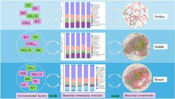 Cross-sectional-dependent microbial assembly and network stability: Bacteria sensitivity response was higher than eukaryotes and fungi in the Danjiangkou Reservoir