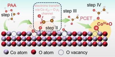 Oxygen vacancies induced capture effect for enhancing peracetic acid activation and selective high-valent cobalt-oxo species formation