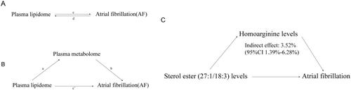 Blood Metabolome Mediates the Effect of the Plasma Lipidome on the Risk of Atrial Fibrillation: A Mendelian Randomization Study