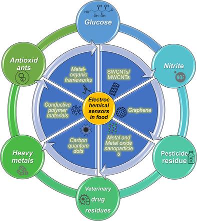 Recent Advances on Non-Enzyme Electrochemical Sensor Materials for Food Safety