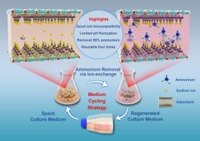 Layered sodium zirconium phosphate adsorbent for ammonia removal in cell culture media for cultivated meat application