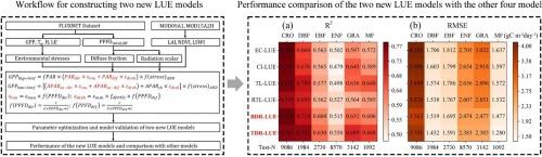 Improving light use efficiency models via the introduction of both the diffuse fraction and radiation scalar