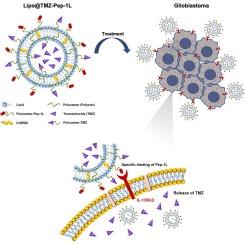 Lipopolymersome-mediated temozolomide delivery for IL13RA2 receptor-positive glioblastoma