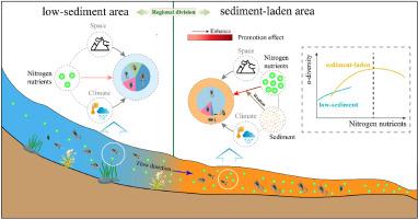 High sediment load weakens the effects of nitrogen nutrients on zooplankton diversity in a continental-scale river