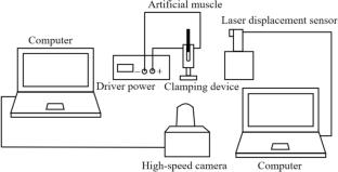 Investigating the driving performance of chitosan-based artificial muscles: the effect of genipin and MCNT addition ratios