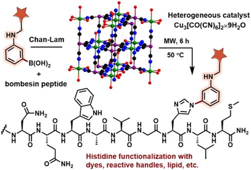 Heterogeneous Catalysis Expands the Toolbox for Chemoselective Peptide Derivatization and Labeling