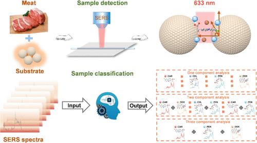 A Surface-Enhanced Raman Spectroscopy Platform Integrating Dual Signal Enhancement and Machine Learning for Rapid Detection of Veterinary Drug Residues in Meat Products
