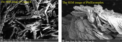 Abstract Image