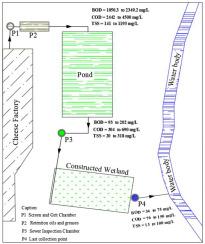 Decade-long performance of constructed wetlands in the dairy industry following an aerated facultative pond