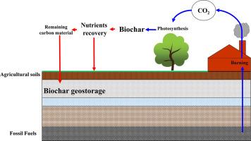 Nutrient recovery in pyrolysis biochars for agricultural applications–Biochemical compositions and nutrient extraction techniques