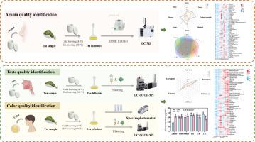The chemical basis of aroma/taste and color formation in green tea infusion during cold brewing revealed by metabolomics analysis