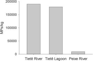 Microplastic contamination in the highly polluted Tietê River (São Paulo, Brazil): an unsustainable human-nature relationship