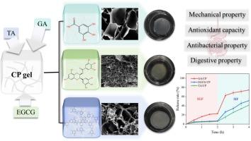 Adsorption and in vitro controlled–release properties of a soybean cellulose nanocrystal/polyacrylamide–based hydrogel as a carrier for different polyphenols