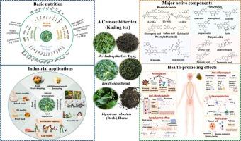 Chemical components, health-promoting effects and industrial application of a Chinese bitter tea (Kuding tea): A comprehensive review