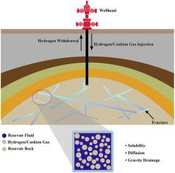Underground hydrogen storage in naturally fractured reservoirs: Matrix scale modeling for cushion gas selection