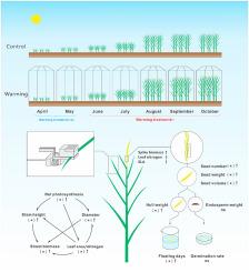 Climate warming increases the invasiveness of the exotic Spartina alterniflora in a coastal salt marsh: Implications for invasion management