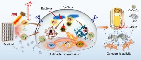Bifunctional cobalt ferrite/reduced graphene oxide heterojunction enhances the antibacterial and osteogenic activities of scaffold