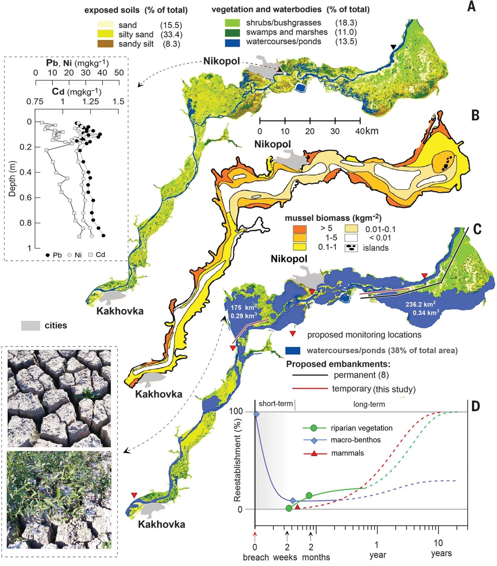 Environmental effects of the Kakhovka Dam destruction by warfare in Ukraine