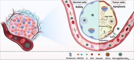 Proteolysis-targeting chimera-doxorubicin conjugate nanoassemblies for dual treatment of EGFR-TKI sensitive and resistant non-small cell lung cancer