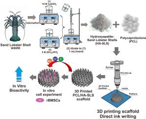 Direct ink writing of 3D scaffold polymeric-bioceramic from sand lobster shells (Panulirus homarus) waste as a sustainable resouce for enhancing in vitro bioactivity