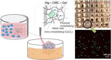 Fabrication of 3D soft polymeric constructs at high structural integrity through bioprinting optimization of suspended hydrogels
