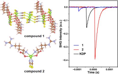 Second-Harmonic Generation in Organic–Inorganic Hybrid Cadmium Thiocyanates Containing Terminal Amino Acids