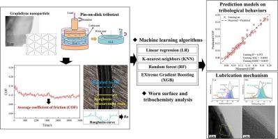 Prospective research on the tribological behavior of graphdiyne nanofluid and its machine learning performance prediction
