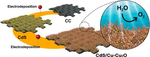 Cu–Cu2O Nanorod-CdS heterostructures on carbon cloth for efficient photoelectrocatalytic water splitting