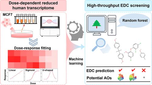 Novel Approach to Screen Endocrine-Disrupting Chemicals via Endocrine-Enhanced Reduced Human Transcriptome