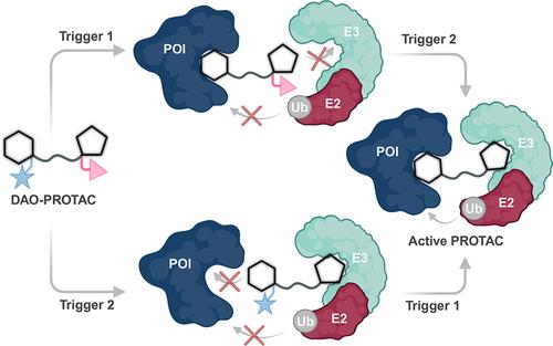 Dual-Action-Only PROTACs
