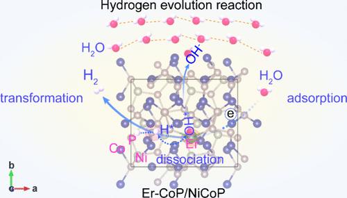 Synergistic Modulation of Multisite Electronic States via Erbium Doping and NiCoP Hybridization for Enhanced Anion Exchange Membrane Water Splitting