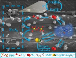 Dual nonradical pathways in enhanced PDS activation by Fe@BC-S: Fe7S8 mediated the relationship between 1O2 and electron transfer