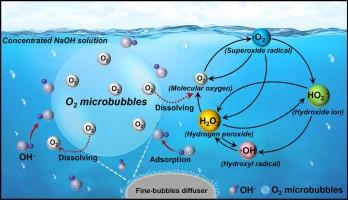 Accelerated the continuous production of ROS at the concentrated alkaline solution driven by O2 microbubbles