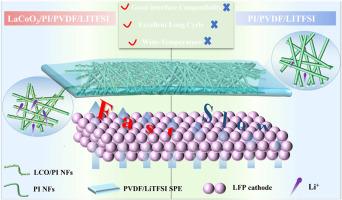 LaCoO3 doping in PVDF-based electrolytes with long-cycle performance and excellent interface compatibility of solid-state batteries in a wide temperature range