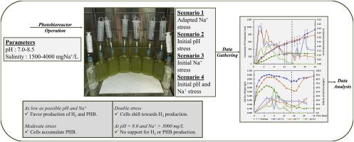 Effect of pH and salinity on photofermentative hydrogen and poly-hydroxybutyric acid production via Rhodobacter capsulatus YO3
