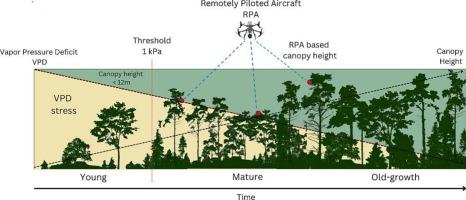 Local atmospheric vapor pressure deficit as microclimate index to assess tropical rainforest riparian restoration success