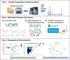 A comprehensive untargeted characterisation strategy for discriminating the geographical origins of Astragali Radix, integrating mass spectrometry data, molecular networking, and collision cross section measurements with chemometric analysis