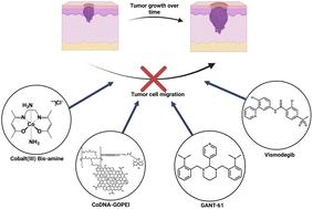 Gli pathway-targeted Co(iii) Schiff base complexes inhibit migration of basal cell carcinoma cells†