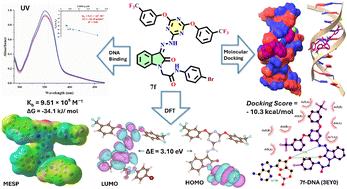 Synthesis and DNA binding studies of novel triazine-isatin hybrids: experimental and computational insights†