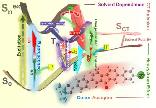 Stimulus-Driven Tuning of Multipathway Emission in 9-Fluorenone Derivatives: Elucidating Charge Transfer Dynamics in Higher Excited Singlet and Triplet States