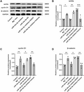 The miR-34a-5p Promotes Hippocampal Neuronal Ferroptosis in Epilepsy by Regulating SIRT1